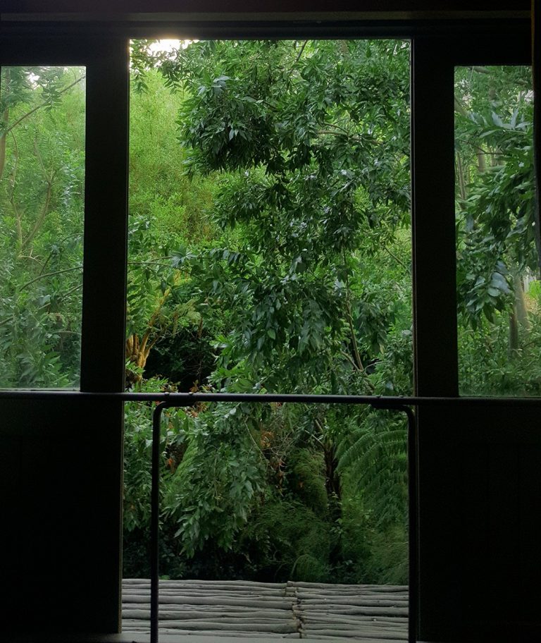 Doors opening onto green tree canopy