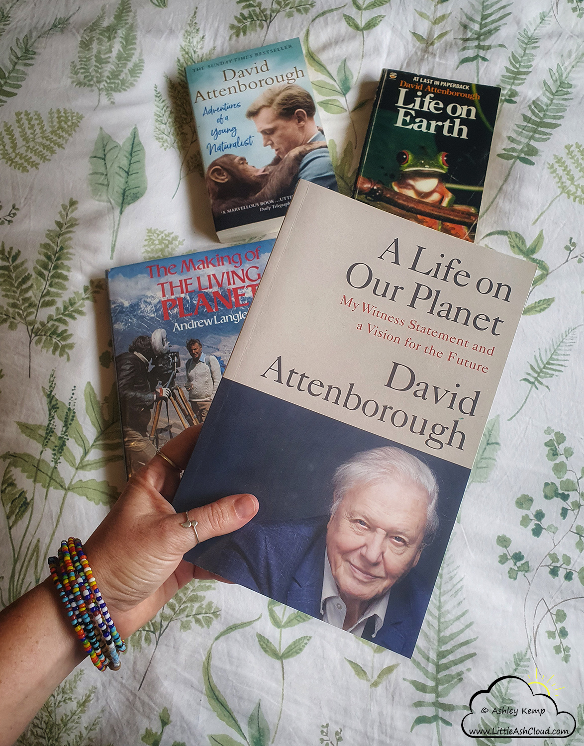 Dear David, thank you!